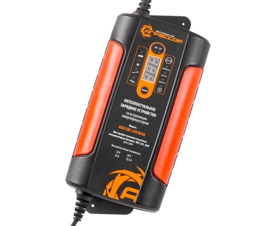 Цифровое зарядное устройство 12V, 24V Агрессор AGR SBC-250 Brick 