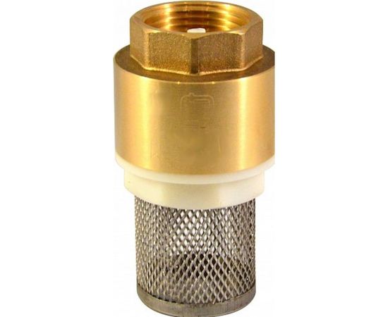 Обратный клапан СТМ с сеткой 3/4 CBCVF034:164 