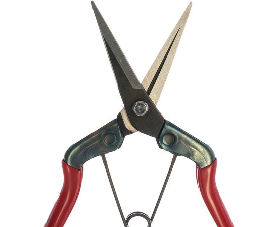 Ножницы для сбора фруктов, овощей, цветов с прямым лезвием SAMURAI KS-55C – изображение 2