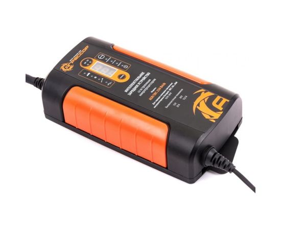 Цифровое зарядное устройство 12V, 24V Агрессор AGR SBC-250 Brick – изображение 2