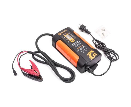 Цифровое зарядное устройство 12V, 24V Агрессор AGR SBC-250 Brick – изображение 3