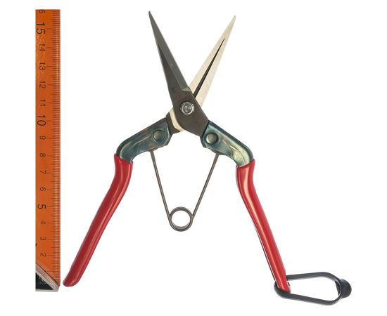 Ножницы для сбора фруктов, овощей, цветов с прямым лезвием SAMURAI KS-55C – изображение 3