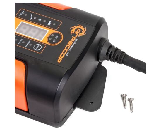 Цифровое зарядное устройство 12V, 24V Агрессор AGR SBC-250 Brick – изображение 5