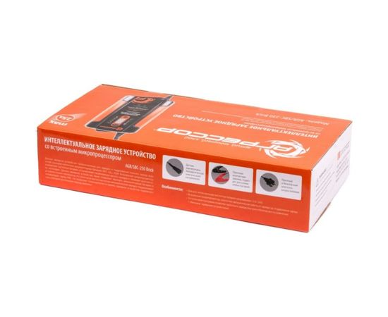 Цифровое зарядное устройство 12V, 24V Агрессор AGR SBC-250 Brick – изображение 8