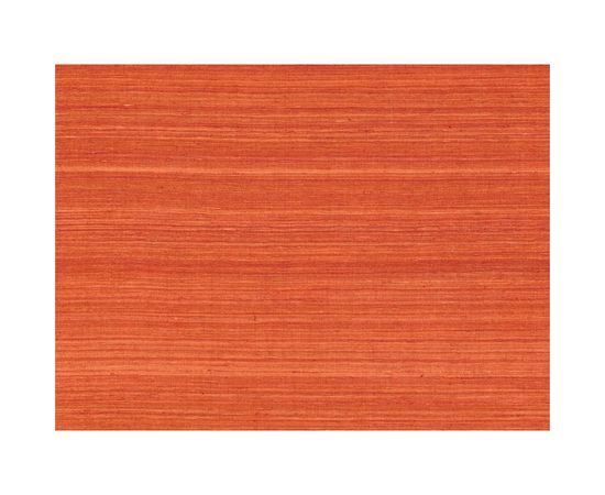 Антисептик PINOTEX CLASSIC NW рябина 9л 5270892 – изображение 4