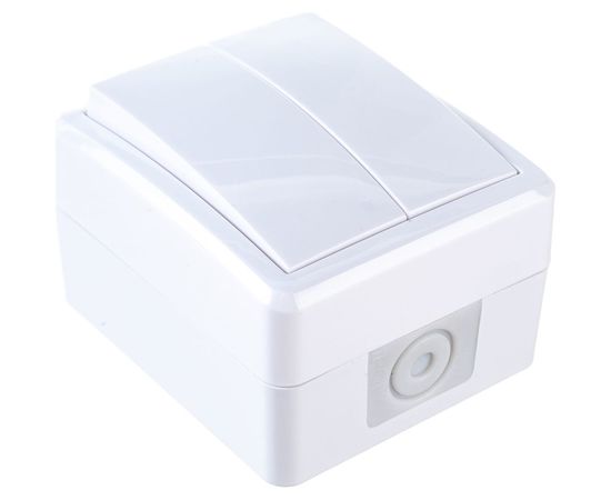 Двойной выключатель ЭРА 11-1404-01 IP54, 10АХ-250В, ОУ, Эксперт, белый Б0020675 