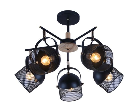 Потолочная люстра J-LIGHT WARDEN 2367/5C 