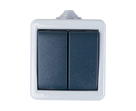 Двухклавишный выключатель Aling-conel ARMOR IP55 10AX 250В открытой установки, серый 282.1A 117013 