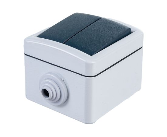 Двухклавишный выключатель Aling-conel ARMOR IP55 10AX 250В открытой установки, серый 282.1A 117013 – изображение 2