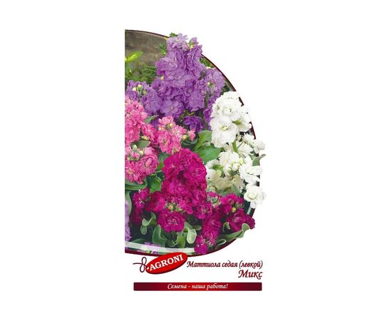 Семена Агрони Левкой маттиола седая МИКС 8924 