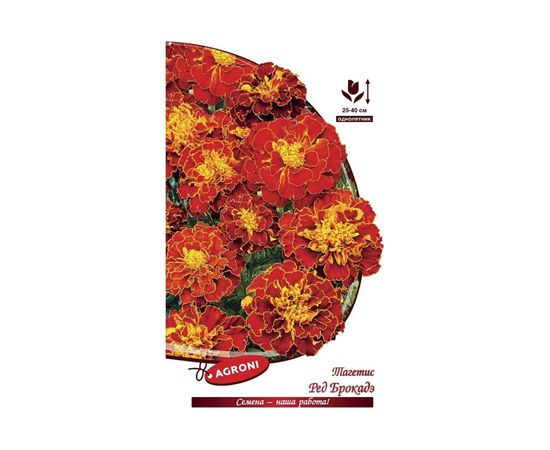 Семена Агрони Тагетес отклоненный бархатцы РЭД БРОКАДЭ 5466 