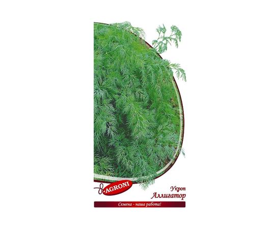 Семена Агрони Укроп АЛЛИГАТОР 6180 