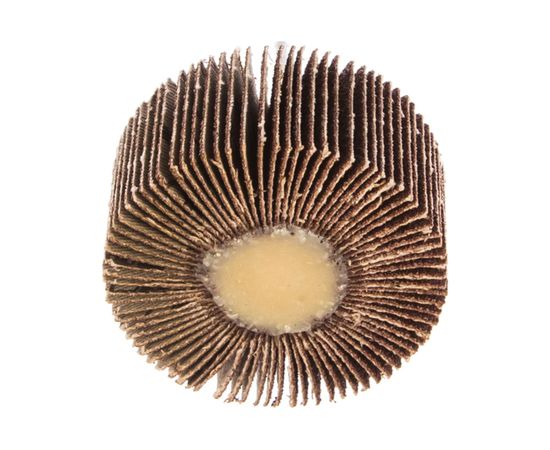 Круг лепестковый с оправкой (60х30 мм; P80) ПРАКТИКА 649-059 – изображение 2