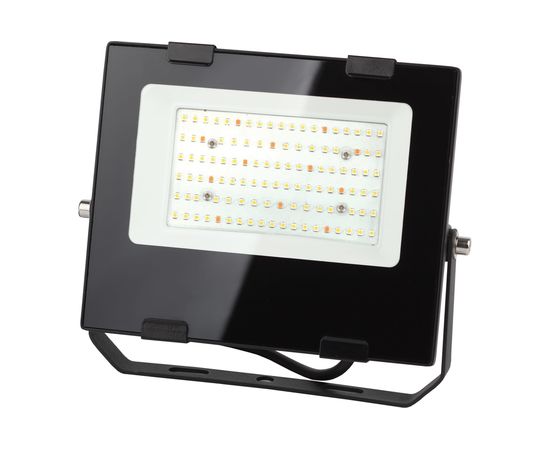 Прожектор ЭРА FITO50WRa90LED, для цветения и плодоношения, 10/300 Б0047875 