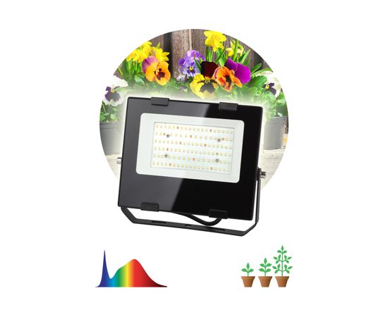 Прожектор ЭРА FITO50WRa90LED, для цветения и плодоношения, 10/300 Б0047875 – изображение 2