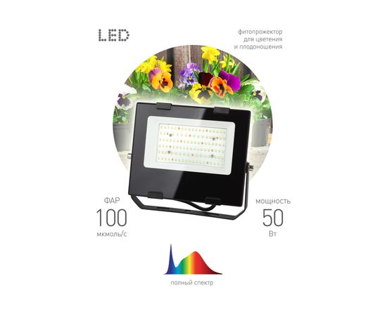 Прожектор ЭРА FITO50WRa90LED, для цветения и плодоношения, 10/300 Б0047875 – изображение 3