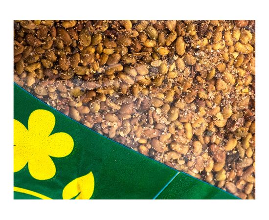 Семена Зеленый уголок Люцерна, 0.25 кг 4660001292260 – изображение 4