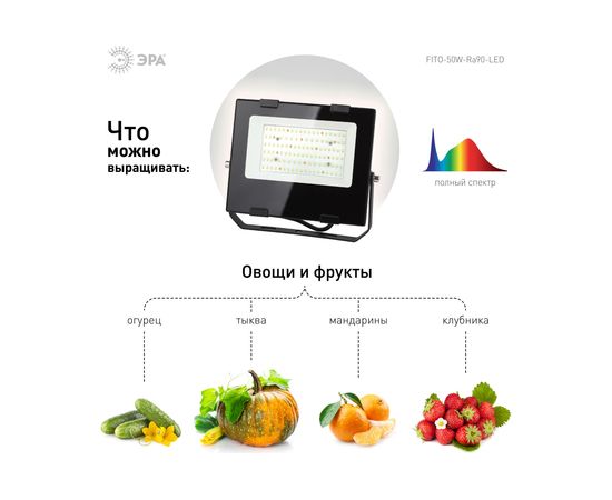 Прожектор ЭРА FITO50WRa90LED, для цветения и плодоношения, 10/300 Б0047875 – изображение 4