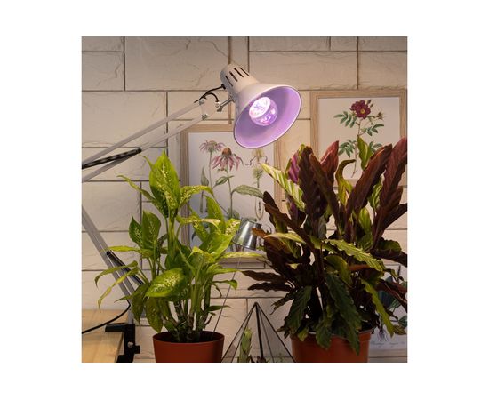 Лампа полного спектра ЭРА FITO11WRa90E27 Б0039172 – изображение 5