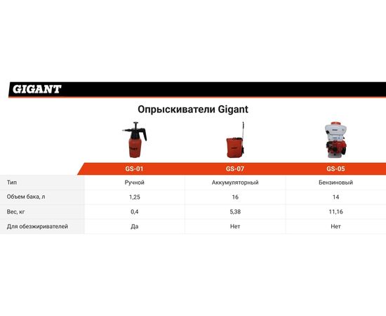 Бензиновый опрыскиватель Gigant 14 л GS-05 – изображение 3