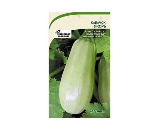 Семена САДОВИТА Кабачок Якорь 10 семечек 00160641 