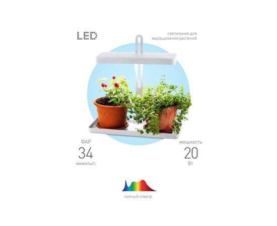 Настольный светильник полного спектра ЭРА FITO20WQLEDW Б0039034 – изображение 3