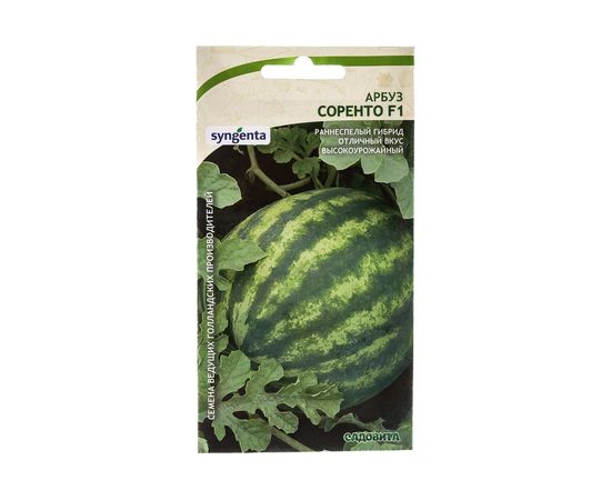Семена САДОВИТА Арбуз Соренто F1 3 семечки 00140114 – изображение 4