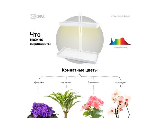 Настольный светильник полного спектра ЭРА FITO20WQLEDW Б0039034 – изображение 6