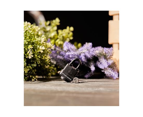 Навесной замок ЧЕТЫРЕ СЕЗОНА ВЗ-30 79-0113 – изображение 11