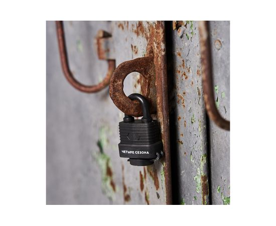 Навесной замок ЧЕТЫРЕ СЕЗОНА ВЗ-30 79-0113 – изображение 2
