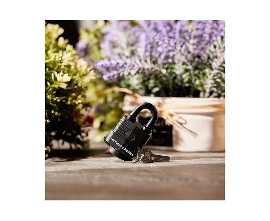 Навесной замок ЧЕТЫРЕ СЕЗОНА ВЗ-30 79-0113 – изображение 3