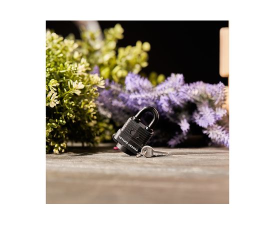 Навесной замок ЧЕТЫРЕ СЕЗОНА ВЗ-30 79-0113 – изображение 4