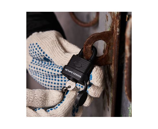 Навесной замок ЧЕТЫРЕ СЕЗОНА ВЗ-30 79-0113 – изображение 5