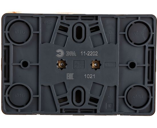 Розетка ЭРА 11-2202-11 2х2P, 16A-250В, IP20, ОУ, Эксперт, сосна Б0020684 – изображение 2