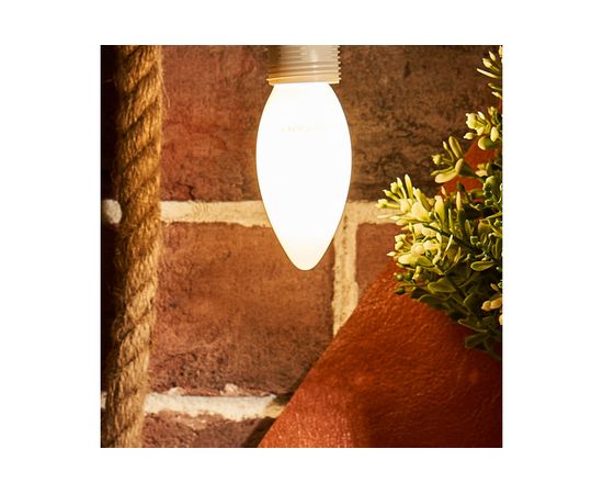 Филаментная лампа REXANT Свеча CN35 9.5 Вт 4000K E14 матовая колба 604-096 – изображение 4