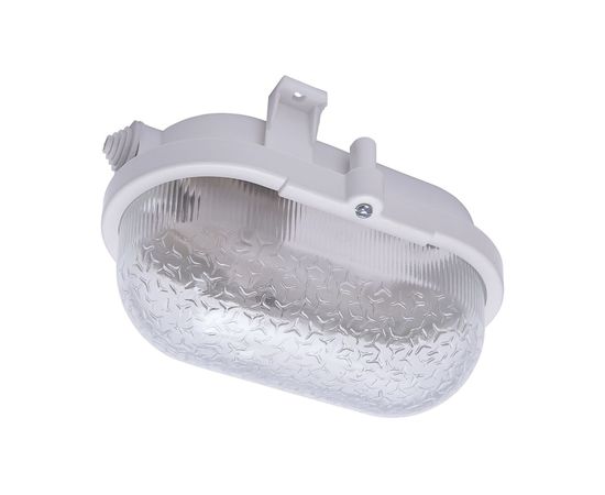 Накладной светильник FERON НБП 01-60-012 IP54, 220V, 60Вт, Е27 41405 