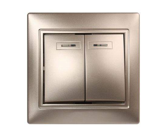 Выключатель Smartbuy 2-клавишный с индикатором 10А шампань, Венера SBE-01c-10-SW2-1-c 