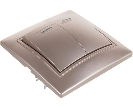 Выключатель Smartbuy 2-клавишный с индикатором 10А шампань, Венера SBE-01c-10-SW2-1-c – изображение 2