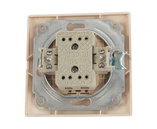 Выключатель Smartbuy 2-клавишный с индикатором 10А шампань, Венера SBE-01c-10-SW2-1-c – изображение 5