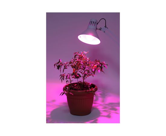 Светодиодная фито-лампа ЭРА FITO-12W-RB-E27-K Б0039070 – изображение 3