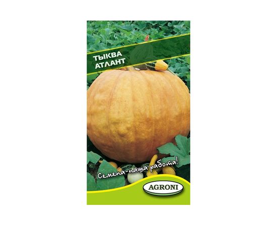 Семена Агрони Тыква АТЛАНТ 1895 