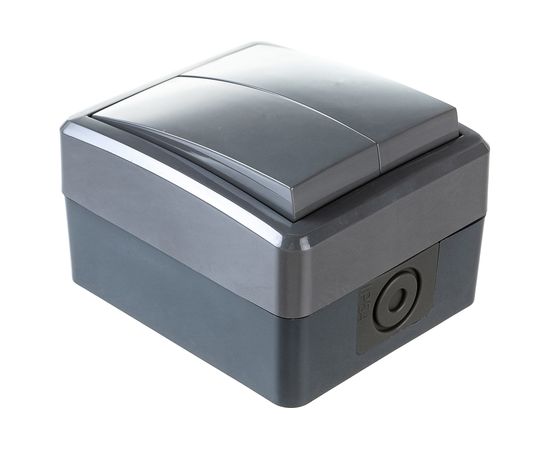 Двойной выключатель ЭРА 11-1404-03 IP54, 10АХ-250В, ОУ, Эксперт, серый Б0020676 