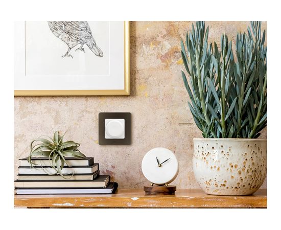 Рамка Legrand - 1 пост - INSPIRIA - бронза 673939 – изображение 6