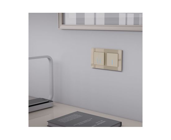 Сенсорный 1-клавишный выключатель WERKEL W4510111 с подсветкой шампань a047972 – изображение 2