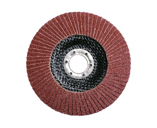 Круг лепестковый плоский Pro (125х22 мм; Р36) Flexione 10000718 – изображение 2
