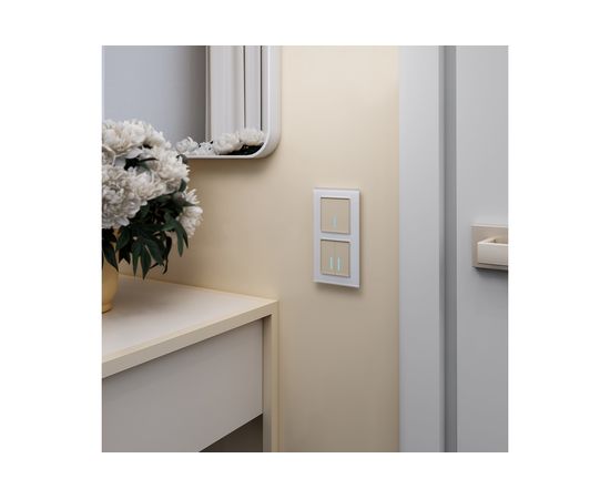 Сенсорный 1-клавишный выключатель WERKEL W4510111 с подсветкой шампань a047972 – изображение 3