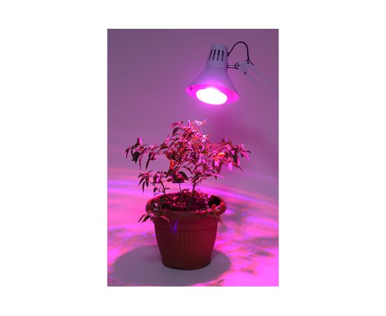 Светодиодная фито-лампа ЭРА FITO-16W-RB-E27-K Б0039072 – изображение 3