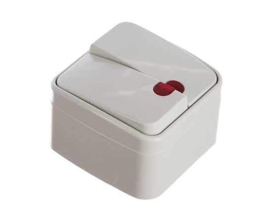 Двойной выключатель с подсветкой, Intro 310501 10А, 250В, IP20, ОУ, Polo Б0036096 