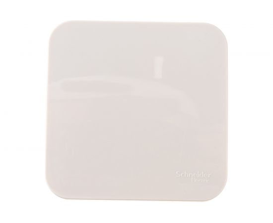 1-клавишный выключатель Schneider Electric открытой проводки Blanca 10А IP20 1 250В бежевый BLNVA101017 – изображение 2