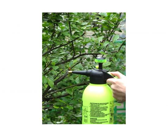 Пневматический опрыскиватель Дед Макар ОПЛ-2, 2 л 00-00015380 – изображение 6